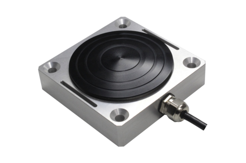{$productinfo->name}